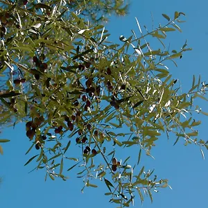 https://bb-les-grillons.fr-provencehotel.com